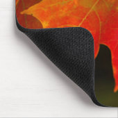 Itasca Staat Park, Herbstfarben 2 Mousepad (Ecke)
