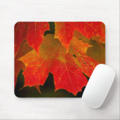 Itasca Staat Park, Herbstfarben 2 Mousepad (Mit Mouse)