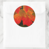 Itasca Staat Park, Herbstfarben 2 Runder Aufkleber (Tasche)