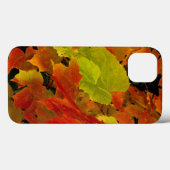 Itasca Staat Park, Herbstfarben Case-Mate iPhone Hülle (Rückseite (Horizontal))