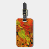 Itasca Staat Park, Herbstfarben Gepäckanhänger (Vorderseite vertikal)