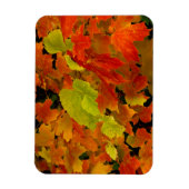 Itasca Staat Park, Herbstfarben Magnet (Vertikal)