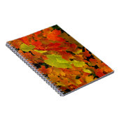 Itasca Staat Park, Herbstfarben Notizblock (Rechte Seite)