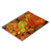 Itasca Staat Park, Herbstfarben Notizblock (Linke Seite)