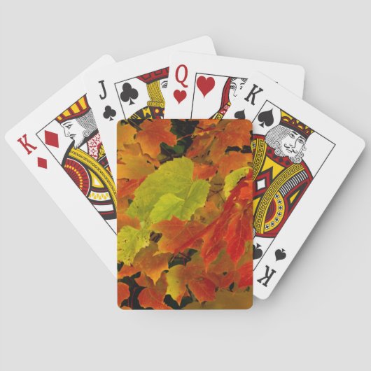 Itasca Staat Park, Herbstfarben Spielkarten (Rückseite)