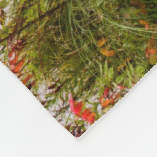 Itasca Staat Park | Minnesota Fleecedecke (Ecke)