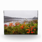 Itasca Staat Park | Minnesota Fotoblock (Vorderseite)