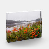 Itasca Staat Park | Minnesota Fotoblock (Links)