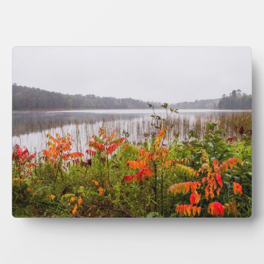 Itasca Staat Park | Minnesota Fotoplatte (Vorderseite)