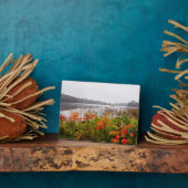 Itasca Staat Park | Minnesota Fotoplatte (Seite)