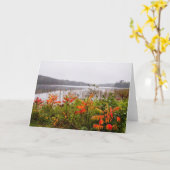 Itasca Staat Park | Minnesota Karte (Gelbe Blume)