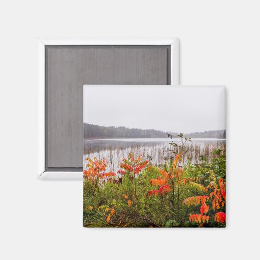 Itasca Staat Park | Minnesota Magnet (Vorderseite/Rückseite)