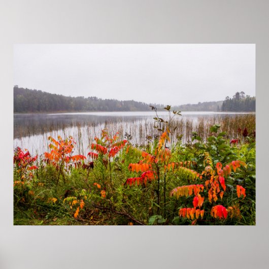 Itasca Staat Park | Minnesota Poster (Vorne)