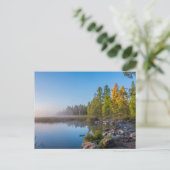 Itasca Staat Park, Minnesota Postkarte (Stehend Vorderseite)