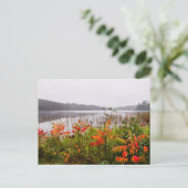 Itasca Staat Park | Minnesota Postkarte (Stehend Vorderseite)