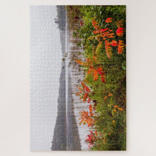 Itasca Staat Park | Minnesota Puzzle (Vertikal)