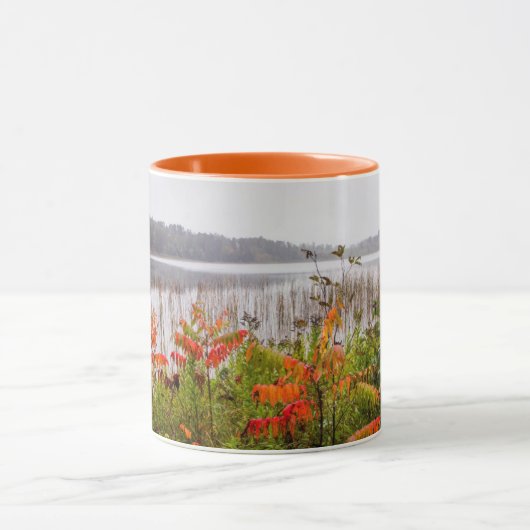 Itasca Staat Park | Minnesota Tasse (Zentrum)