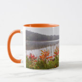 Itasca Staat Park | Minnesota Tasse (Links)
