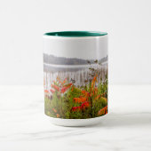 Itasca Staat Park | Minnesota Tasse (Zentrum)