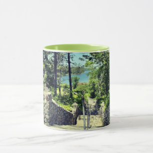Itasca State Park 2022 Tasse