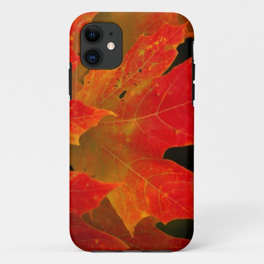 Itasca State Park, Herbstfarben 2 Case-Mate iPhone Hülle (Rückseite)