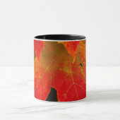 Itasca State Park, Herbstfarben 2 Tasse (Zentrum)
