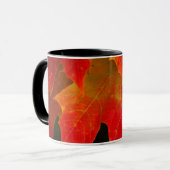 Itasca State Park, Herbstfarben 2 Tasse (Vorderseite Links)
