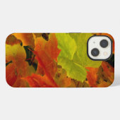 Itasca State Park, Herbstfarben iPhone Hülle (Rückseite (Horizontal))
