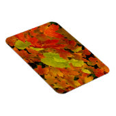 Itasca State Park, Herbstfarben Magnet (Rechte Seite)