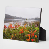 Itasca State Park | Minnesota Fotoplatte (Seite)