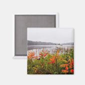 Itasca State Park | Minnesota Magnet (Vorderseite/Rückseite)