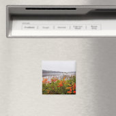 Itasca State Park | Minnesota Magnet (In Situ (Geschirrspüler))