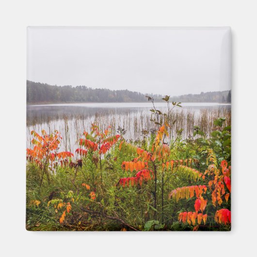Itasca State Park | Minnesota Magnet (Vorne)