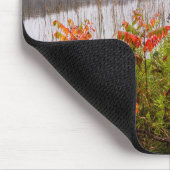 Itasca State Park | Minnesota Mousepad (Ecke)