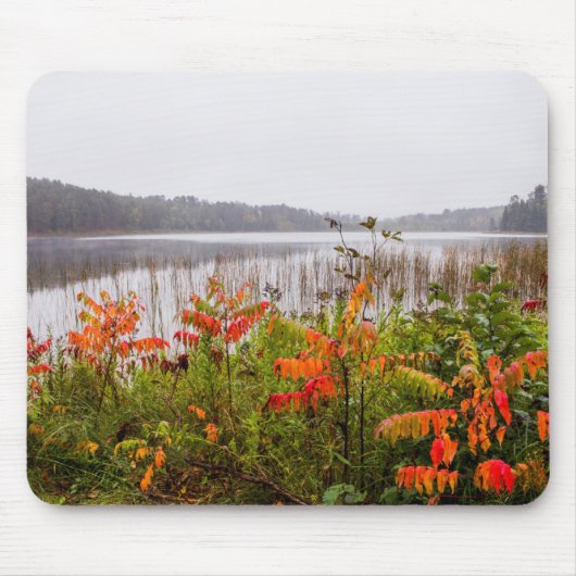 Itasca State Park | Minnesota Mousepad (Vorne)