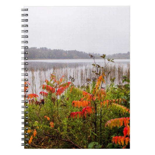 Itasca State Park | Minnesota Notizblock (Vorderseite)