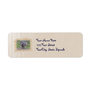 Itchin' & Scratchin' Raccoon