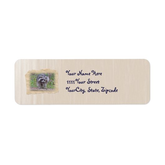 Itchin' & Scratchin' Raccoon (Vorne)