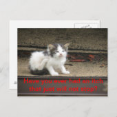 Itchy Kitten Postkarte (Vorne/Hinten)