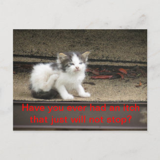 Itchy Kitten Postkarte