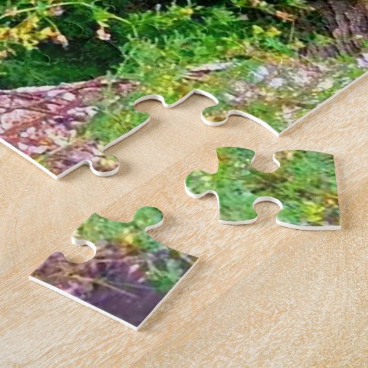 ITHACA NEW YORK CASCADILA GORGE PUZZLE (Seite)