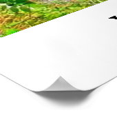 ITHACA NEW YORK GORGE POSTER (Ecke)