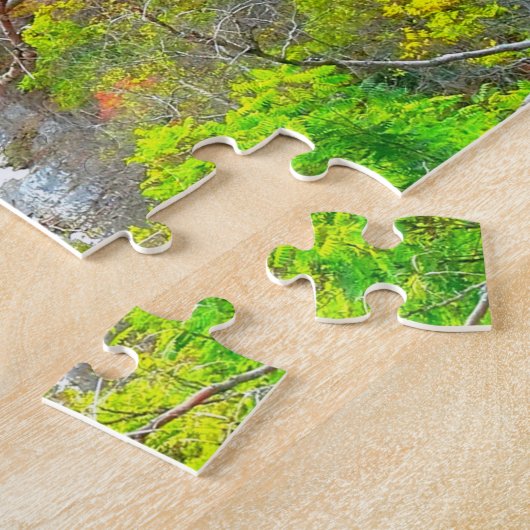 ITHACA NEW YORK GORGE PUZZLE (Seite)