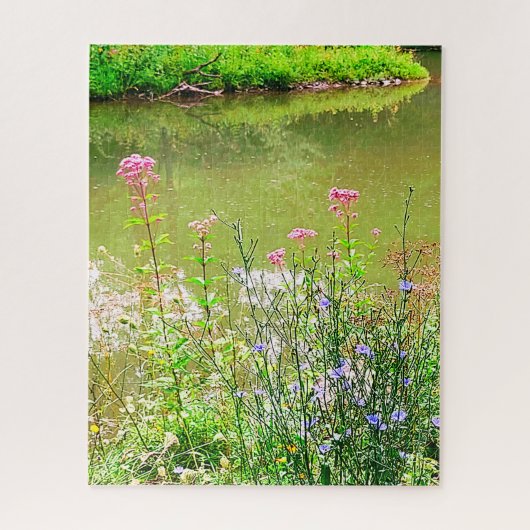 ITHACA NEW YORK NATURRESERVE PUZZLE (Vertikal)