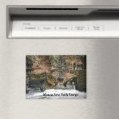 ITHACA NEW YORK SCHLUCHT MAGNET (In Situ (Geschirrspüler))