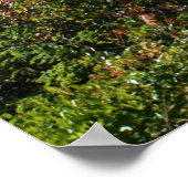 ITHACA NEW YORK ÜBERSEHENE WAND POSTER (Ecke)