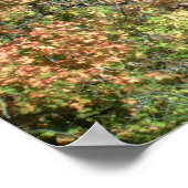 ITHACA NEW YORK WATERFALL-Plakat Poster (Ecke)