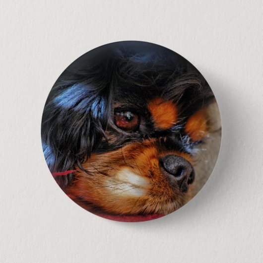 ITIS EIN HARTES LEBEN ....... BUTTON (Vorderseite)