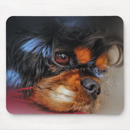 ITIS EIN HARTES LEBEN ....... MOUSEPAD (Vorne)