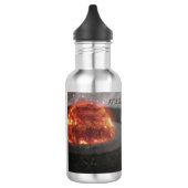 It's a Musical Universe Edelstahlflasche (Links)